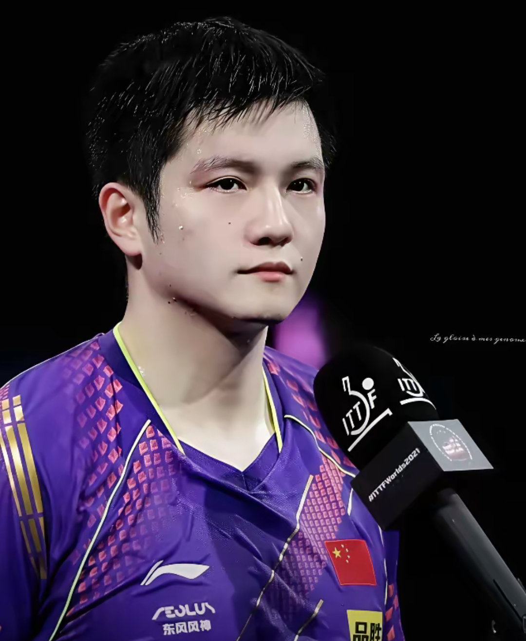 奥地利队险胜葡萄牙队,樊振东状态火热 奥地利队险胜葡萄牙队,樊振东状态火热