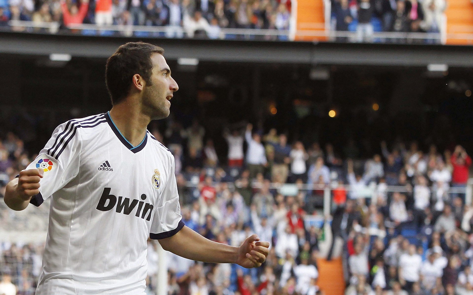 哈斯车队碾压威廉姆斯，汉密尔顿扛起全队，一场F1赛场的逆袭与坚守